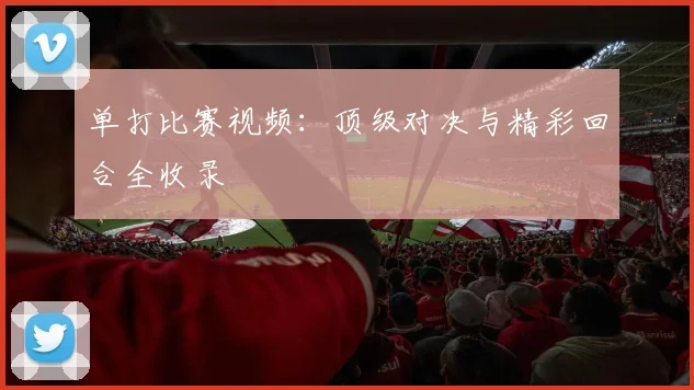 单打比赛视频：顶级对决与精彩回合全收录
