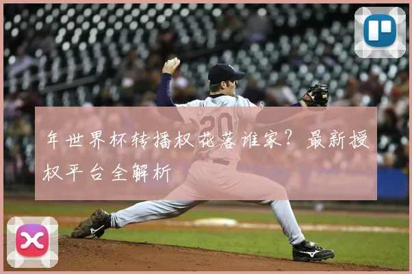 年世界杯转播权花落谁家？最新授权平台全解析
